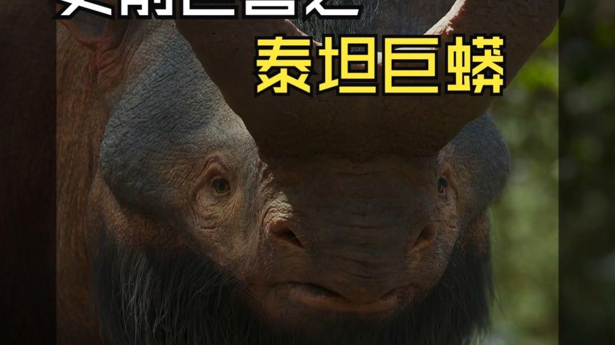 泰曼魚龍的食物是什么？