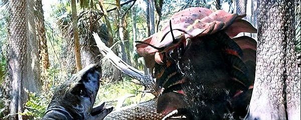 泰曼魚龍的食物是什么？