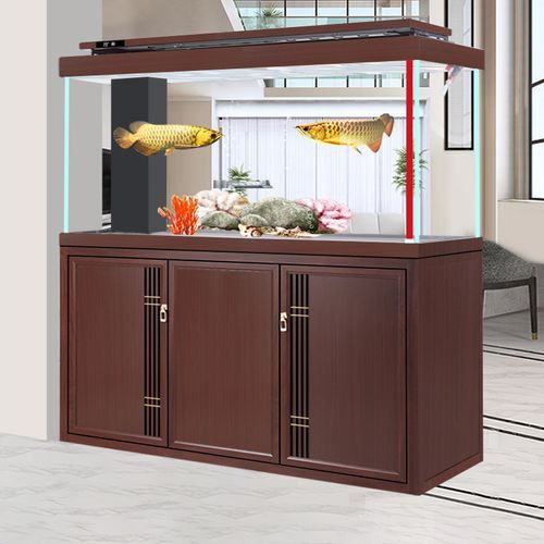 如何選擇適合養(yǎng)銀龍魚的魚缸？