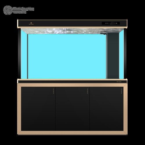 如何選擇適合養(yǎng)銀龍魚的魚缸？