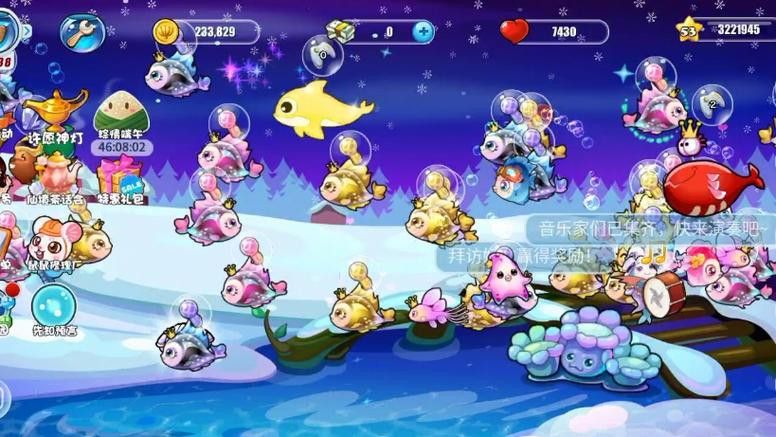 開心水族箱劍龍魚