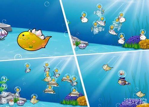 開心水族箱劍龍魚