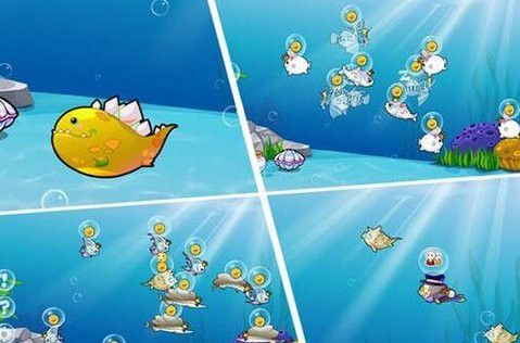 開心水族箱劍龍魚