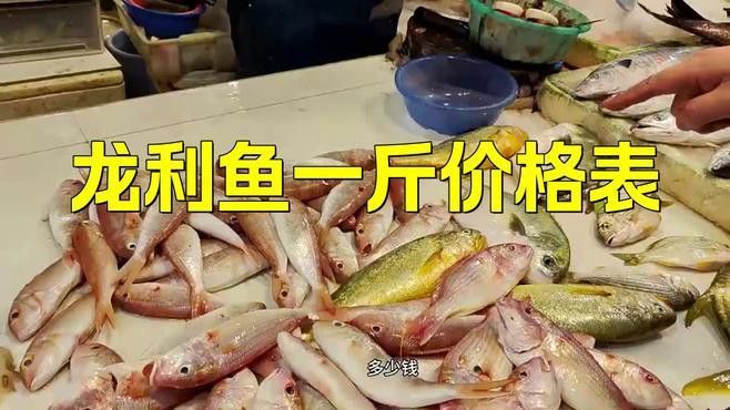 龍利魚的價格是多少？