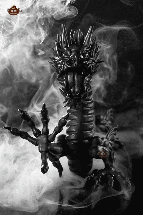 有沒有更多四角龍動態壁紙推薦？