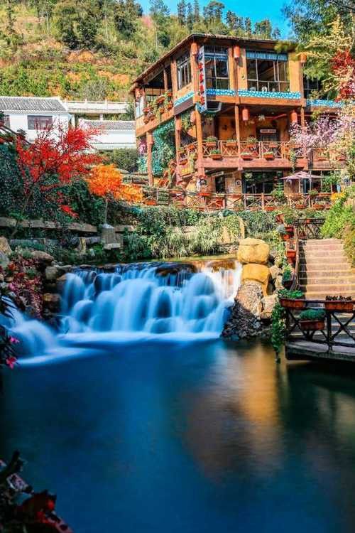 古龍魚圖片清遠(yuǎn)