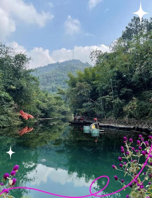 古龍魚圖片清遠