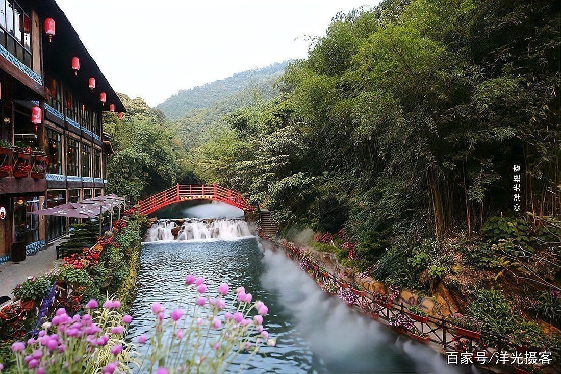 古龍魚圖片清遠