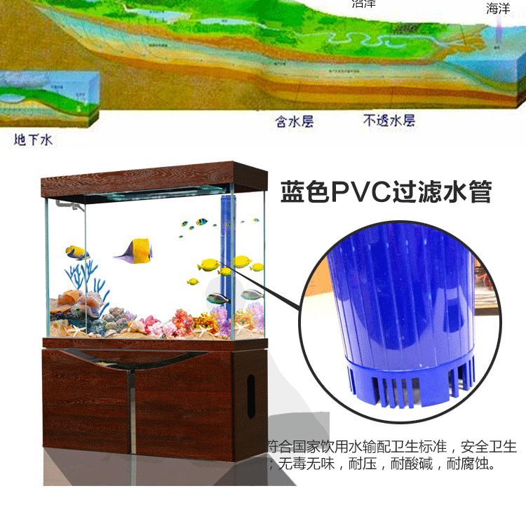 龍魚到家后的換水頻率是一個非常重要的問題，龍魚到家后需要注意：龍魚到家后幾天換水最好