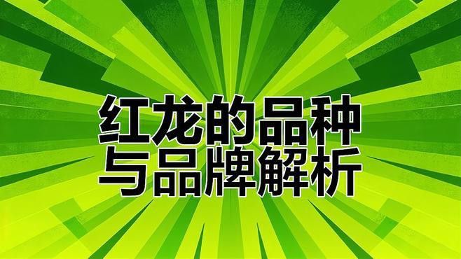 紅龍品牌如何區分不同系列的產品？