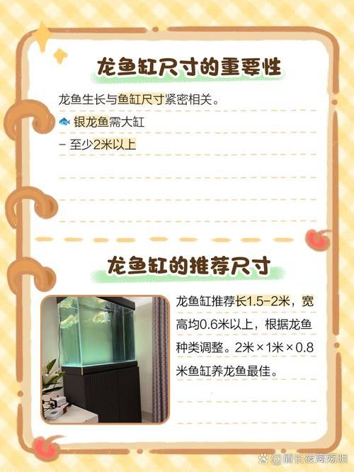 專業龍魚缸高多少