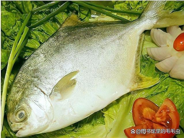 如何檢測龍魚是否攝入非法添加劑？