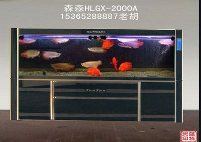 龍魚缸十大名牌排行榜最新：2024年最新的龍魚缸十大名牌排行榜