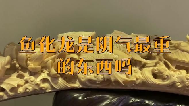 鯉魚化的龍是什么龍