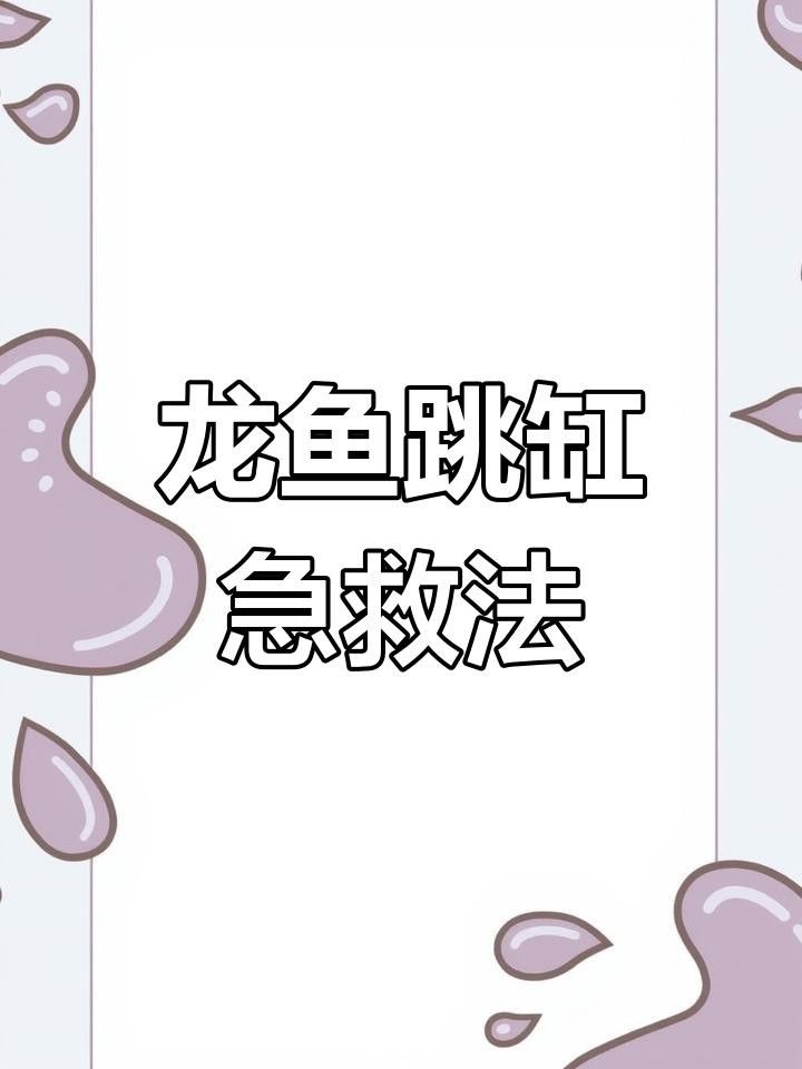 龍魚跳缸后應該如何急救？