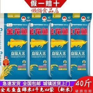 龍魚(yú)配什么魚(yú)好：適合與龍魚(yú)混養(yǎng)的魚(yú)類有哪些？