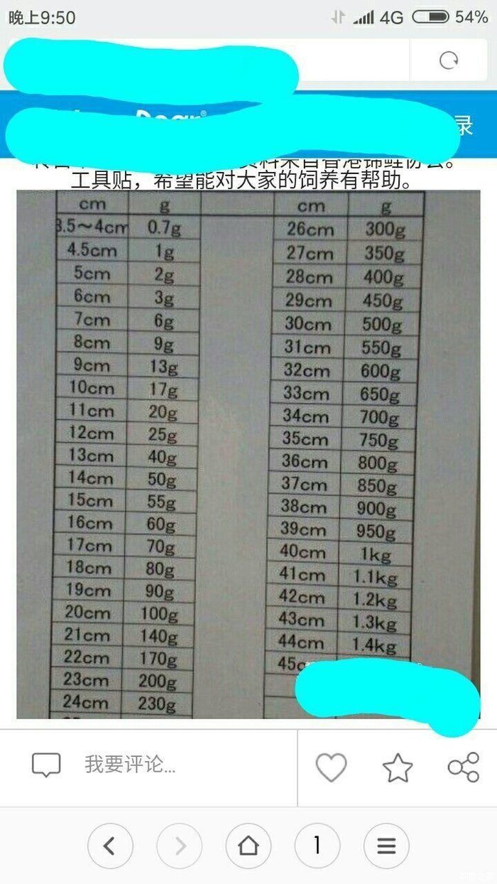 六七斤鯉魚一只多少斤