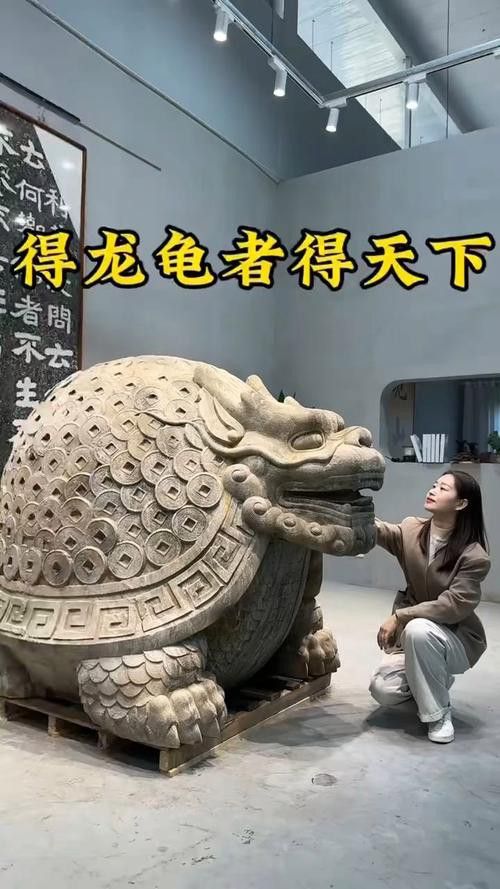 有沒有免費的高清無水印龍龜圖片？