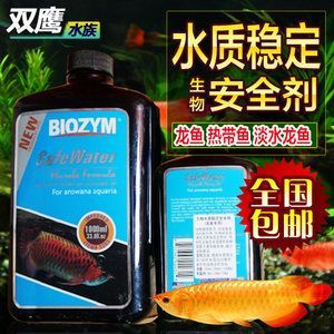 龍魚外細菌感染的主要癥狀包括鱗片顏色變化、立鱗、爛身和膚霉等：如何治療龍魚外細菌感染