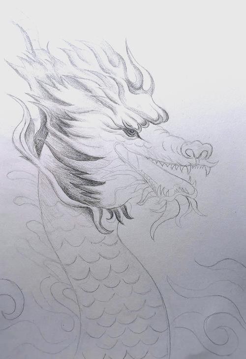 龍魚素描圖片大全大圖簡單