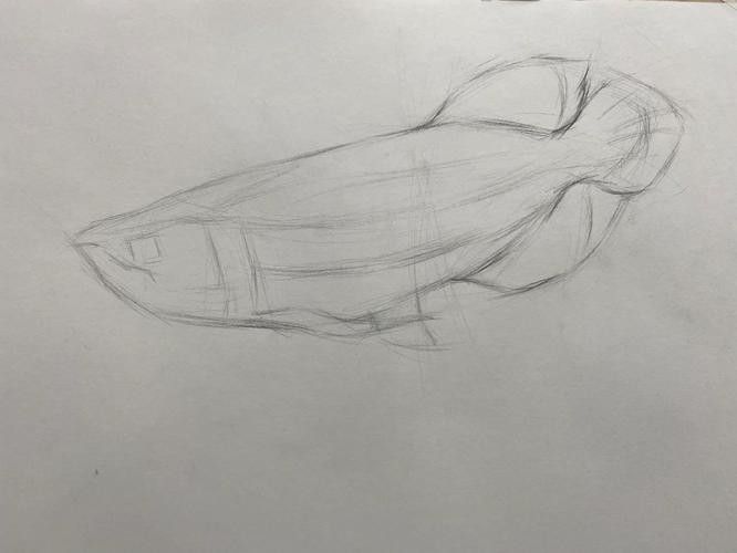 龍魚素描圖片大全大圖簡單