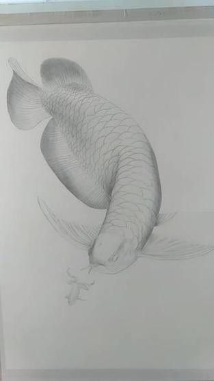 龍魚素描圖片大全大圖簡單