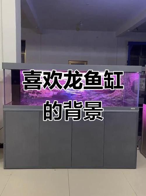 龍魚缸背景圖片帖什么樣的