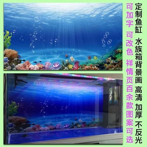 龍魚缸背景圖片帖什么樣的