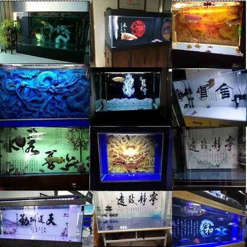 龍魚缸背景圖片帖什么樣的