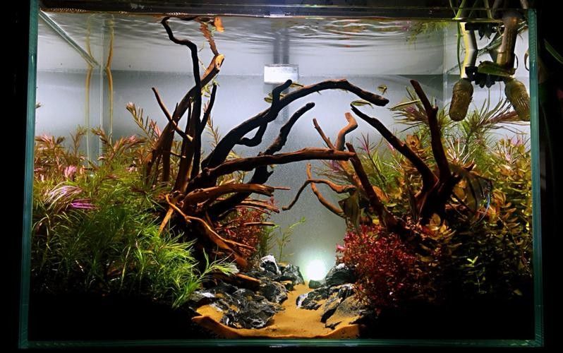 龍魚缸背景圖片帖什么樣的