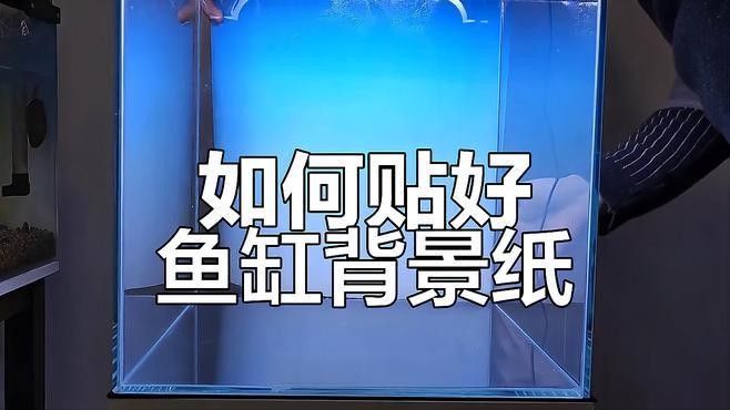 龍魚缸背景圖片帖什么樣的