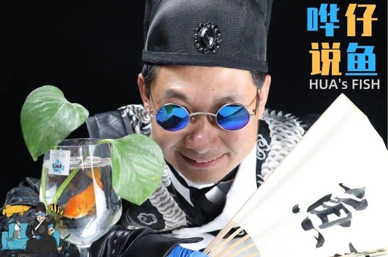 龍魚缸背景圖片帖什么樣的