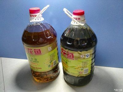 龍魚保養(yǎng)，如何正確選擇、購買龍魚