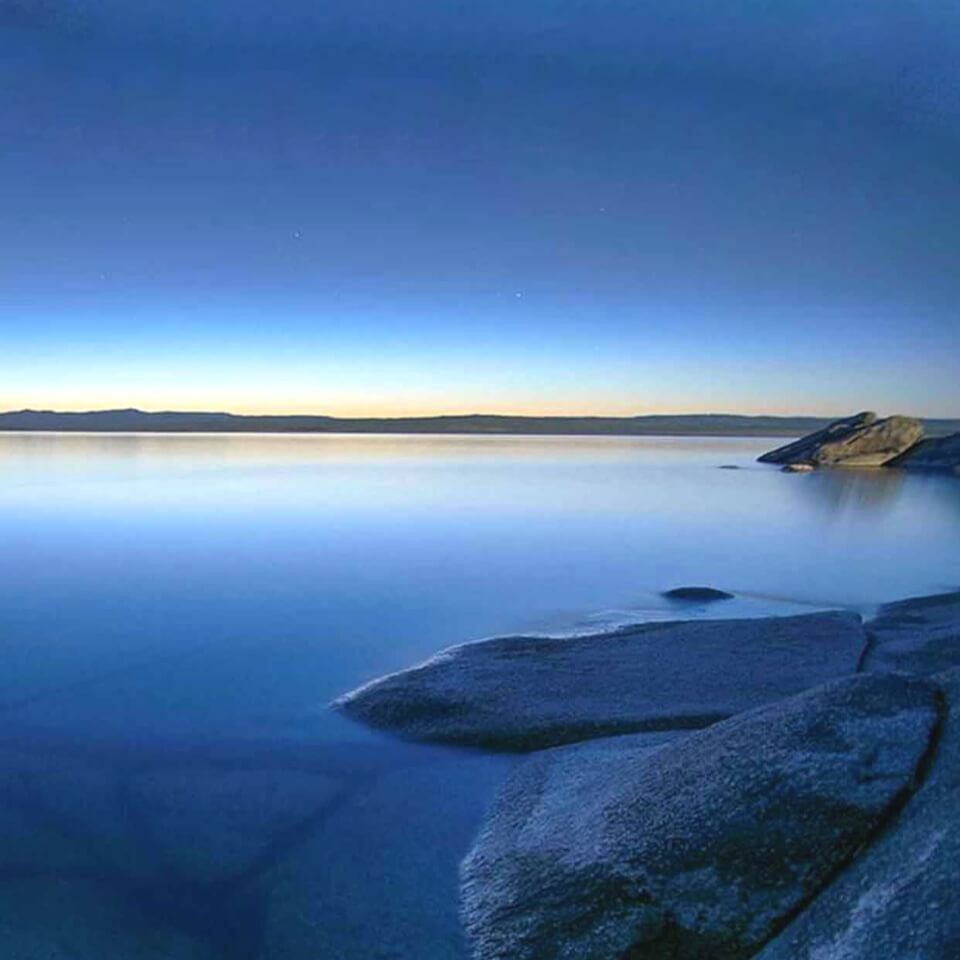 龍魚真菌會伴隨一生嗎
