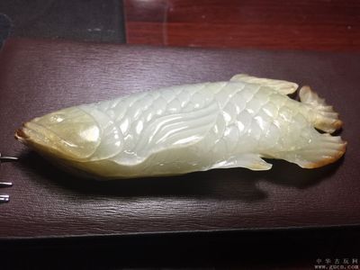 龍魚交易網概述（龍魚交易網是一個專注于龍魚交易的平臺）