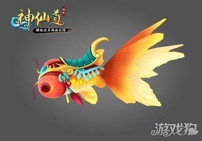 有收龍魚的魚商嗎（如何找到收購龍魚的魚商）