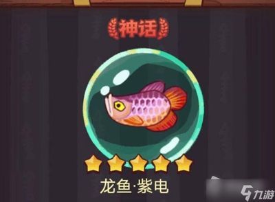 有收龍魚的魚商嗎（如何找到收購龍魚的魚商）