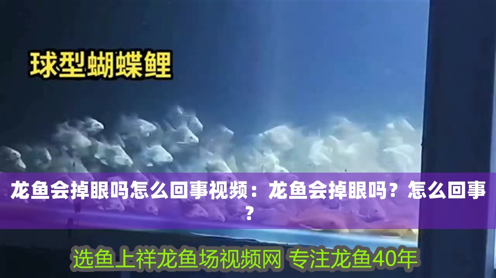 龍魚會掉眼嗎怎么回事視頻：龍魚會掉眼嗎？怎么回事？