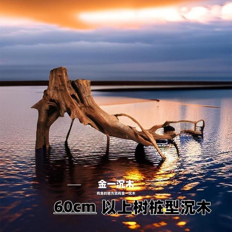 龍魚造景沉木圖片大全