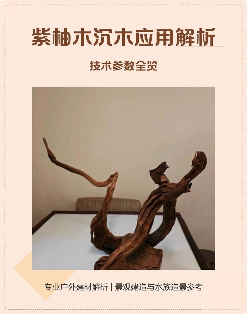 龍魚造景沉木圖片大全