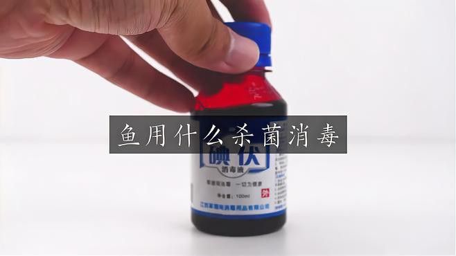 幼魚階段飼料如何消毒？