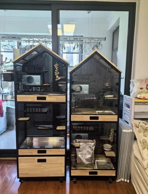 龍貓和貓哪個更好養？