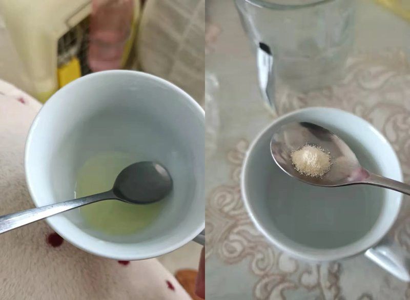 龍貓消化系統異常需要多久恢復？