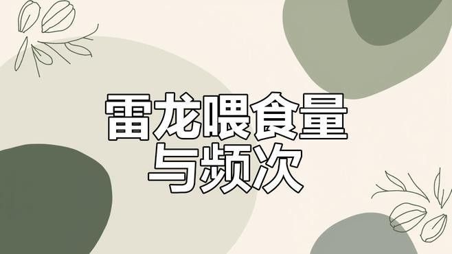 雷龍魚怎么打包食物