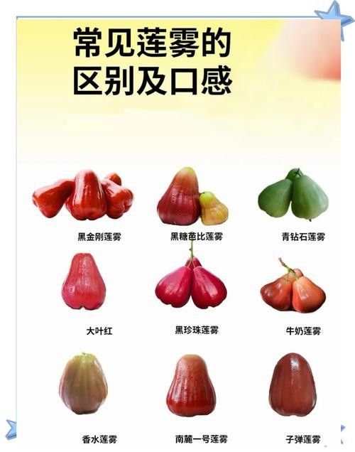 恐龍魚的特點有哪些圖片