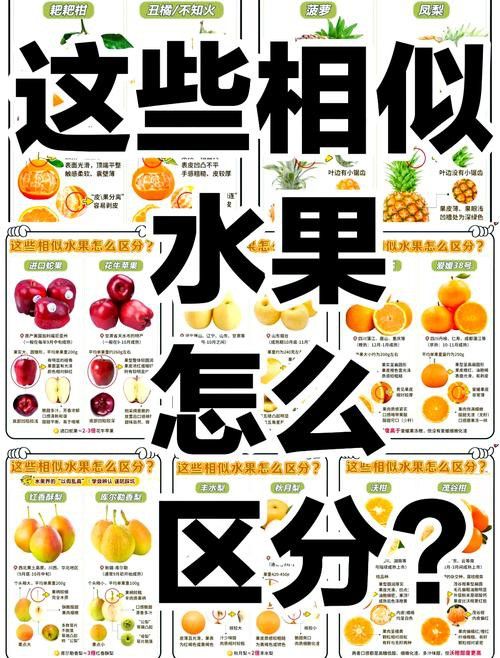 恐龍魚的特點有哪些圖片