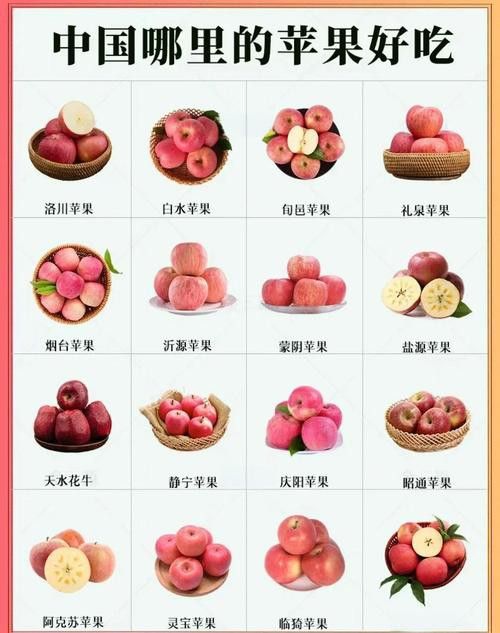 恐龍魚的特點有哪些圖片