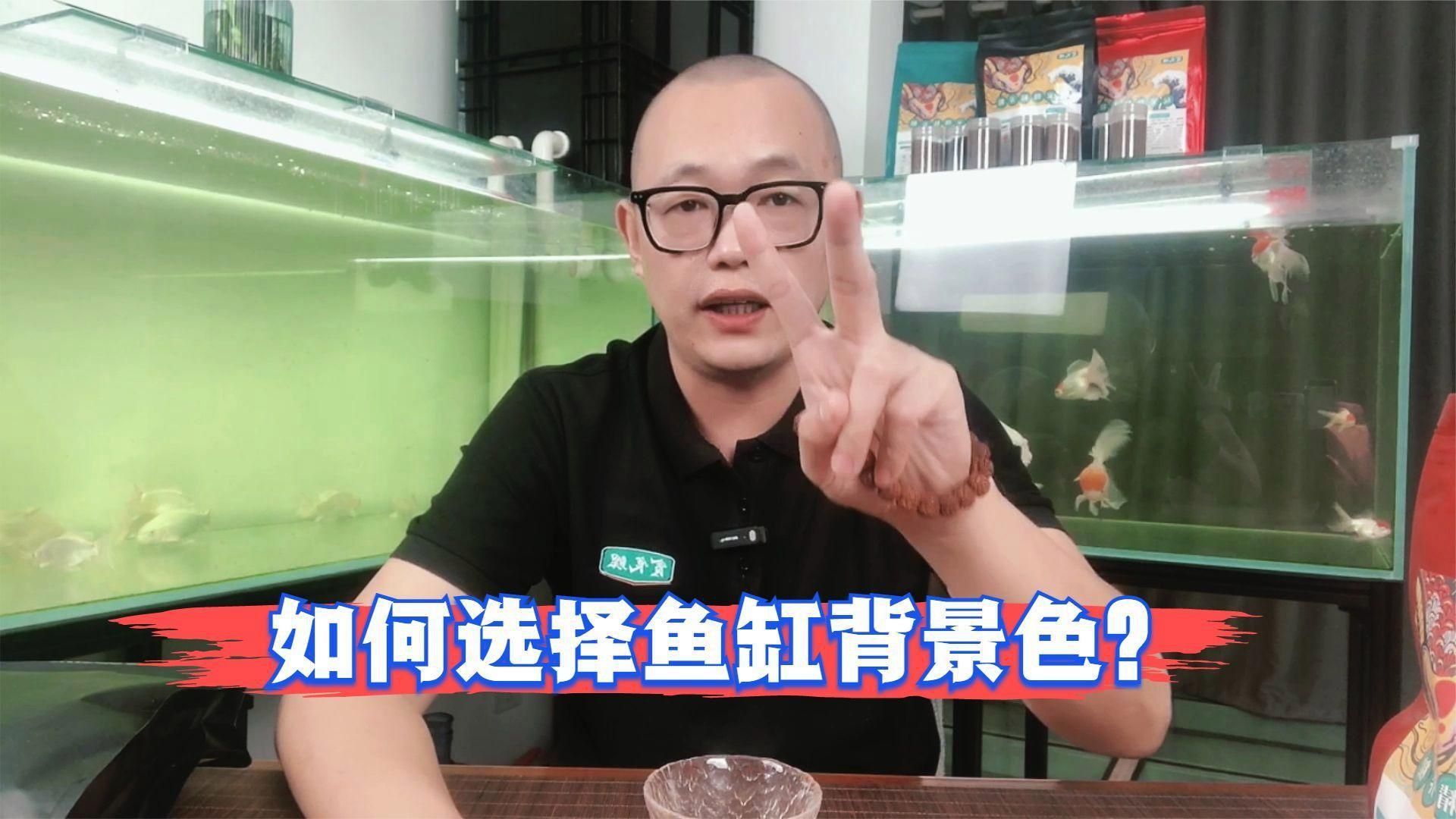 馬印水族魚缸最忌三個顏色 馬印水族魚缸最忌三個顏色 龍魚百科 第7張