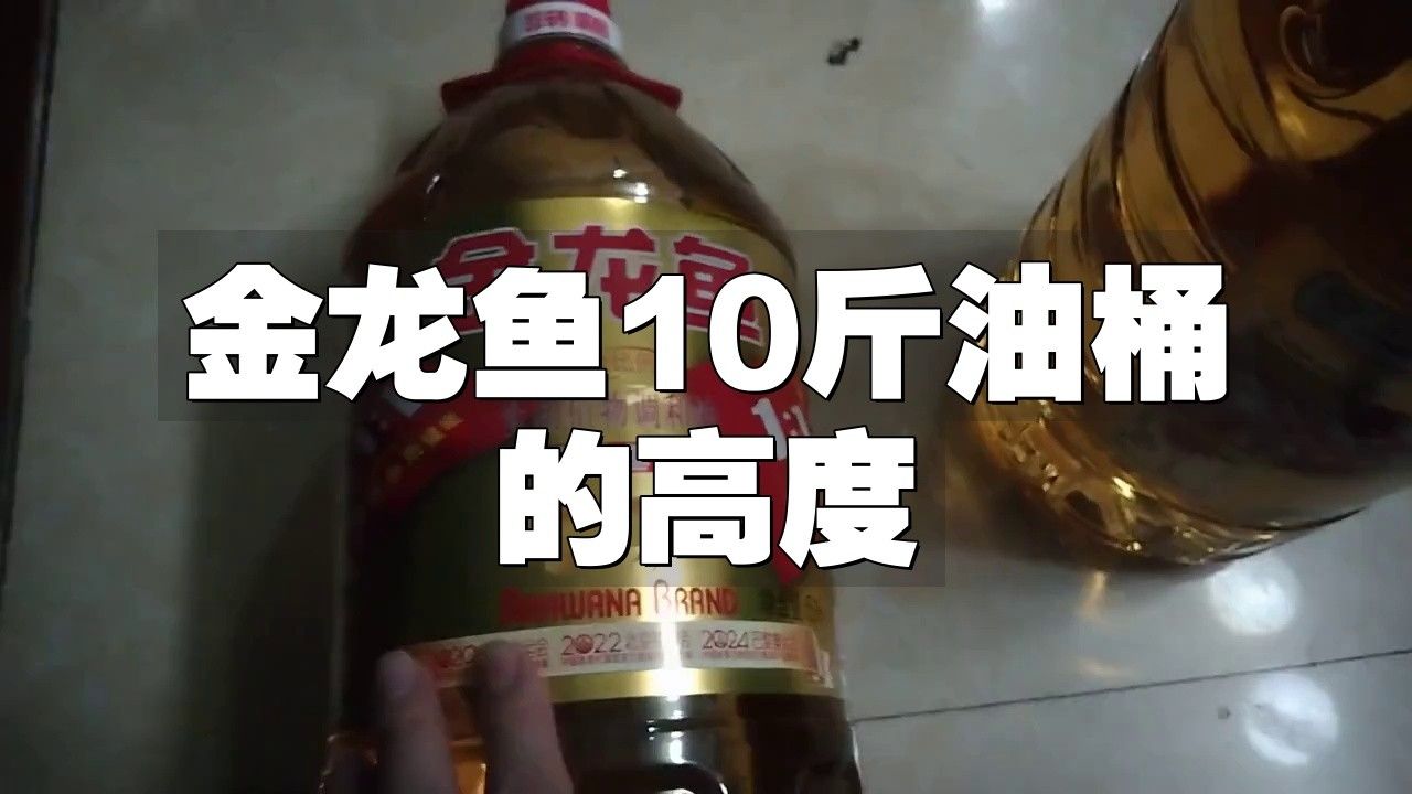 金龍魚餐飲專用油10l