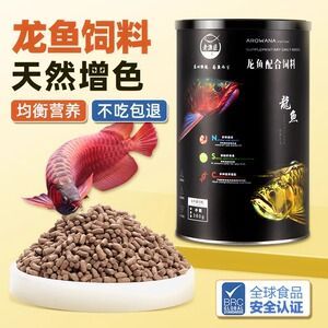 點金龍魚吃什么最好，點金龍魚增色飼料品牌推薦，點金龍魚適量喂養指南